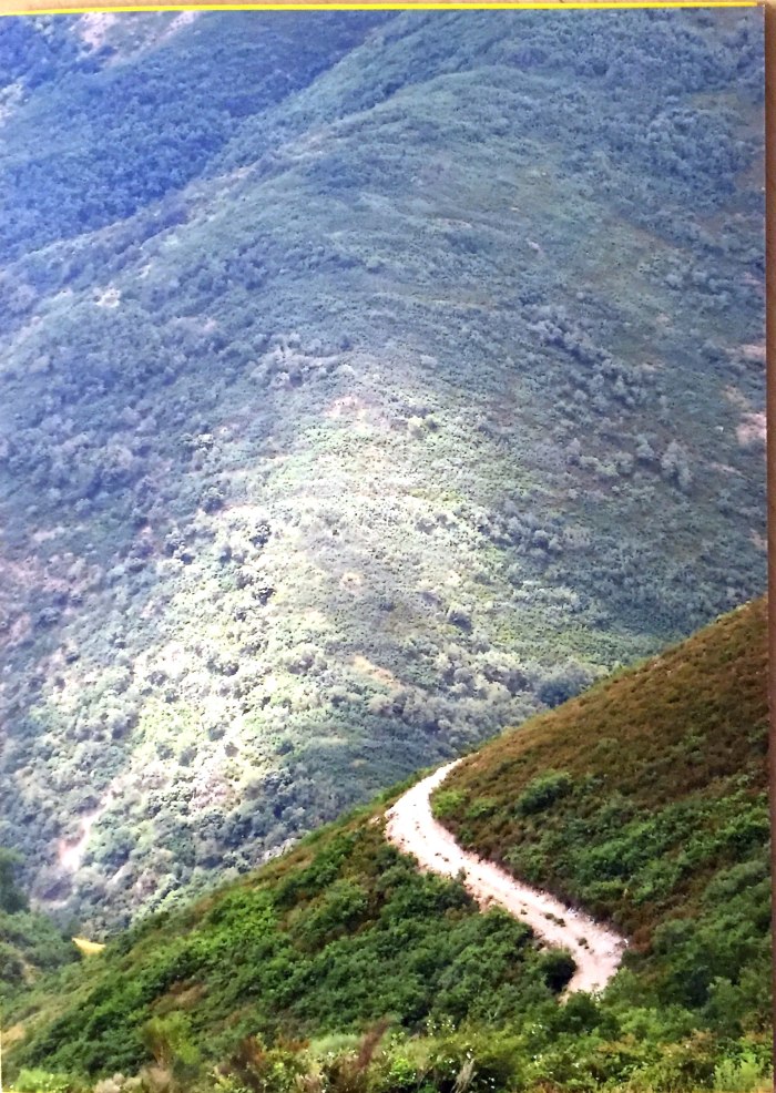 Foto eine Freundes, der den Weg schon gegangen ist.